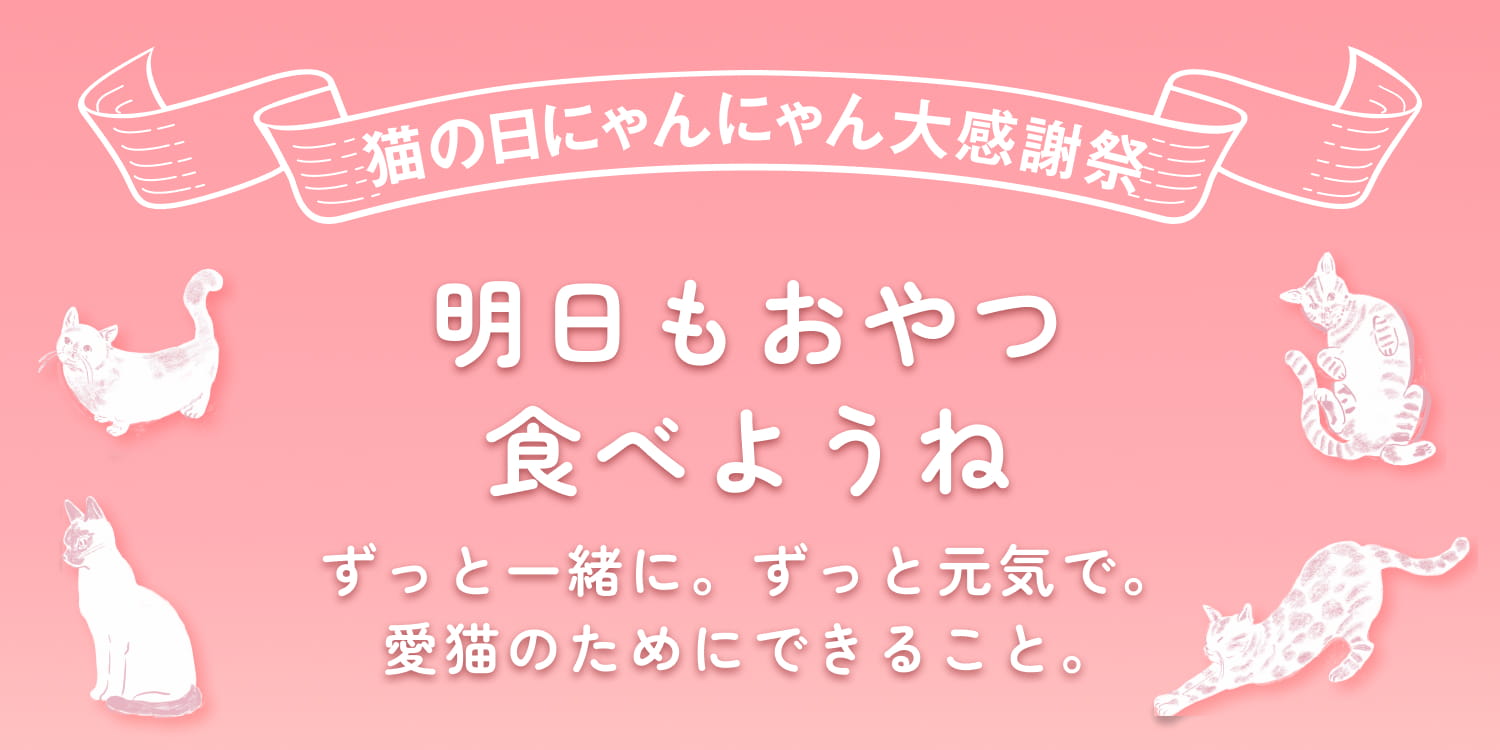 2月22日は猫の日! 猫の日にゃんにゃん大感謝祭